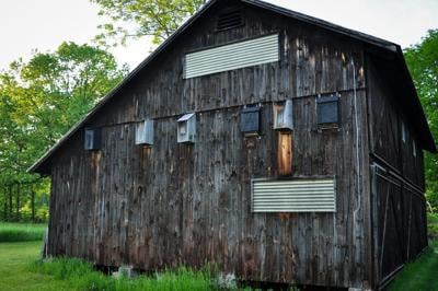 COMM_VTF&W_Bat Houses.jpg