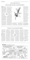 Page C3