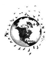 The Outside Story: Muscling through migration