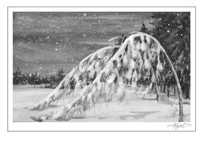 MAG_TOS_SnowCoveredTree.jpg